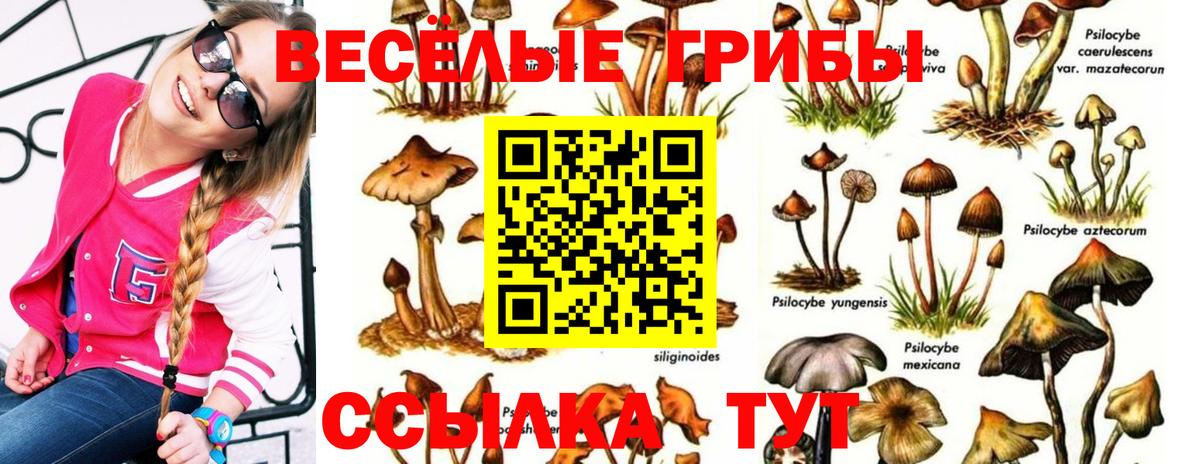 Псилоцибиновые грибы прущие грибы  сколько стоит  Реутов  Вход с VPN 