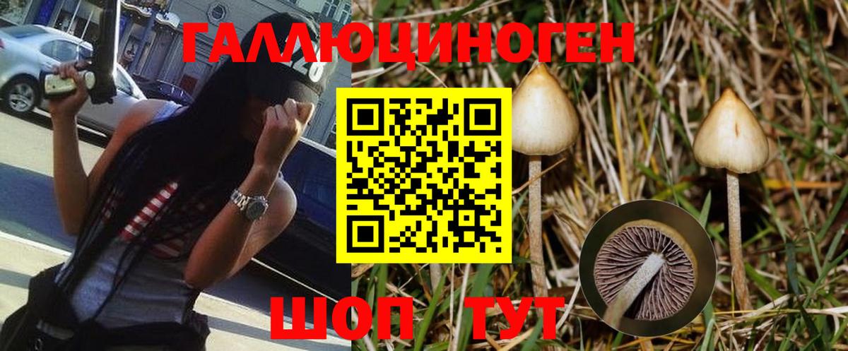 Псилоцибиновые грибы MAGIC MUSHROOMS Реутов